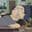 Chud Steam avatar