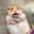 adnncn Steam avatar