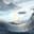 KSFoster | The UK's last hope Steam avatar
