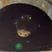 Sewer Gator Steam avatar